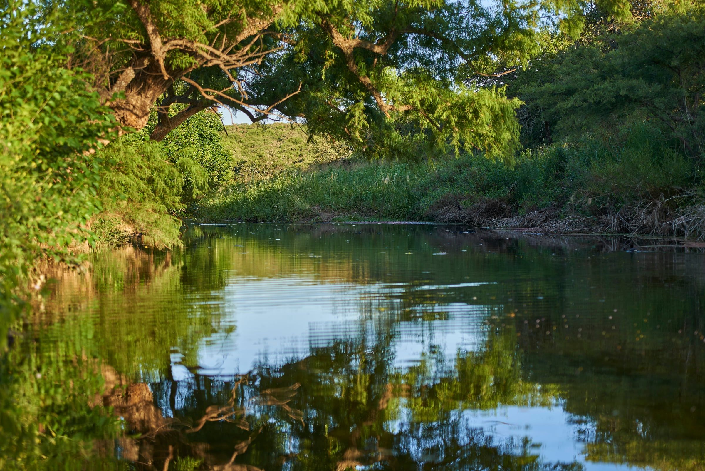 Remanso del arroyo rodeado de monte