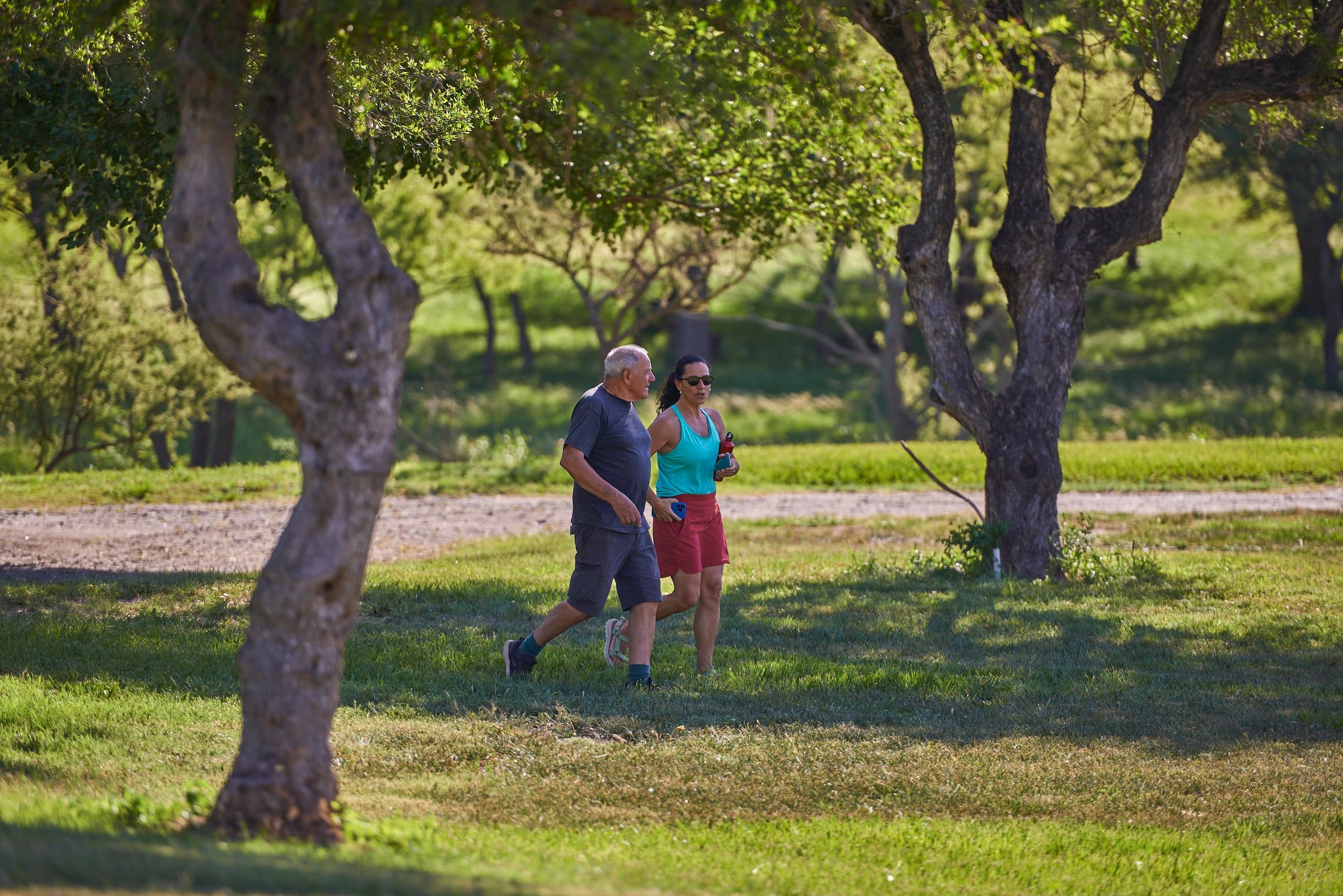Pareja caminando entre algarrobos